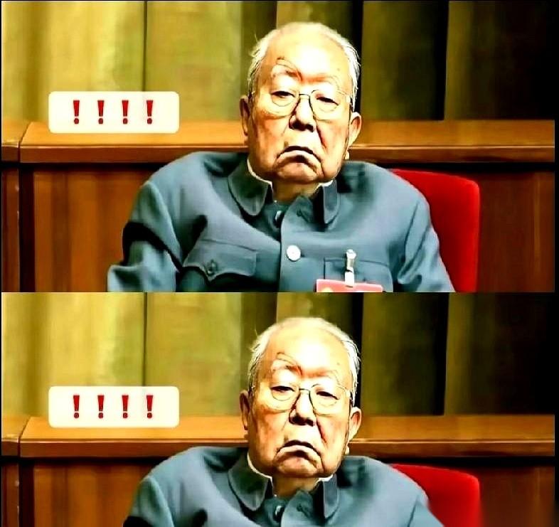 “有怨气，冲我来！”就这一句话，我记了好多年。说这话的，是叶帅。那会儿华老刚