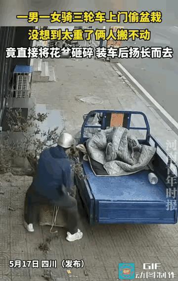 蓝衣男与白衣女戴着口罩，把小三轮停在路边偷取别人家的盆栽，两人用绳子套在盆栽上，