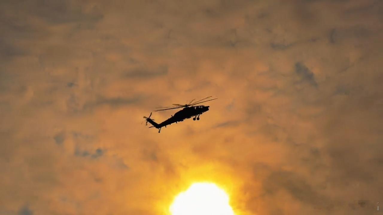 转某型武直，是不是AI自辨吧。