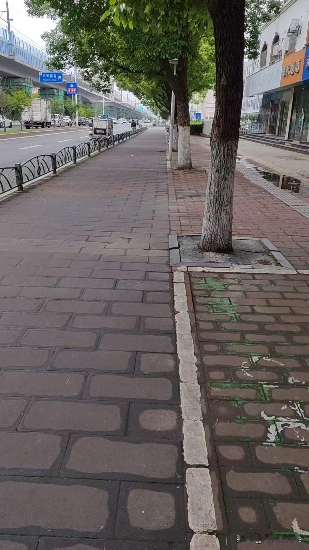 谁能想到，一位普通老人，早在十年前刚退休那会儿，就狠狠心做了一个大胆决定：把自己