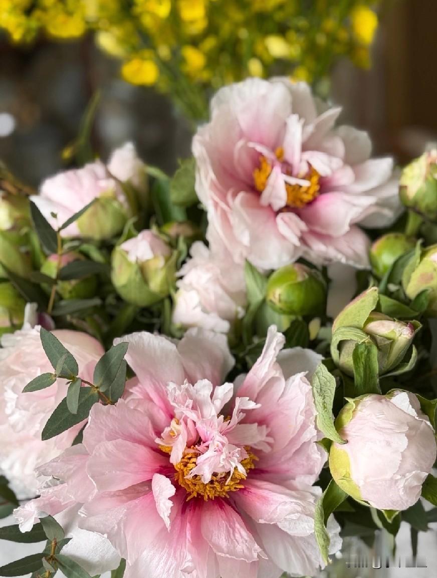 前天，买了26年最新的意林杂志六本，三联三本，放在高一生床头，当睡前读物。一