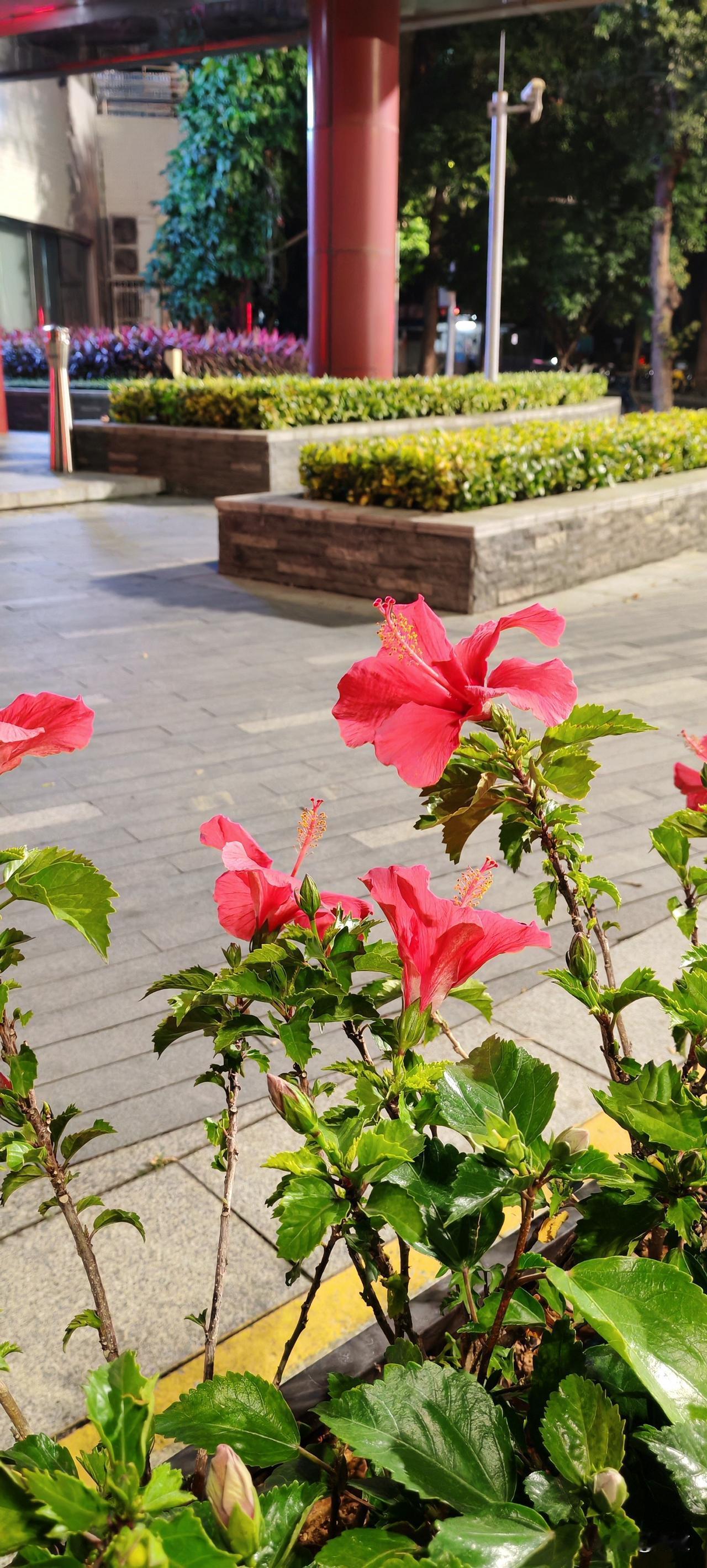 一个姐姐56了，没有孩子。和一男的搭伙过日子，男的有一儿子。刚开始俩人的工资是