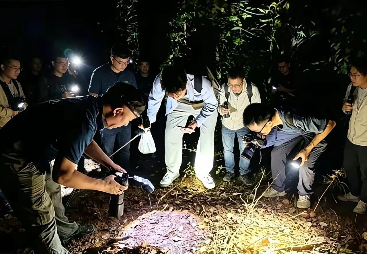 广西发现新物种“蛇”看似两头都是蛇头，经过广西科学实验3年观察，彩采样，DNA