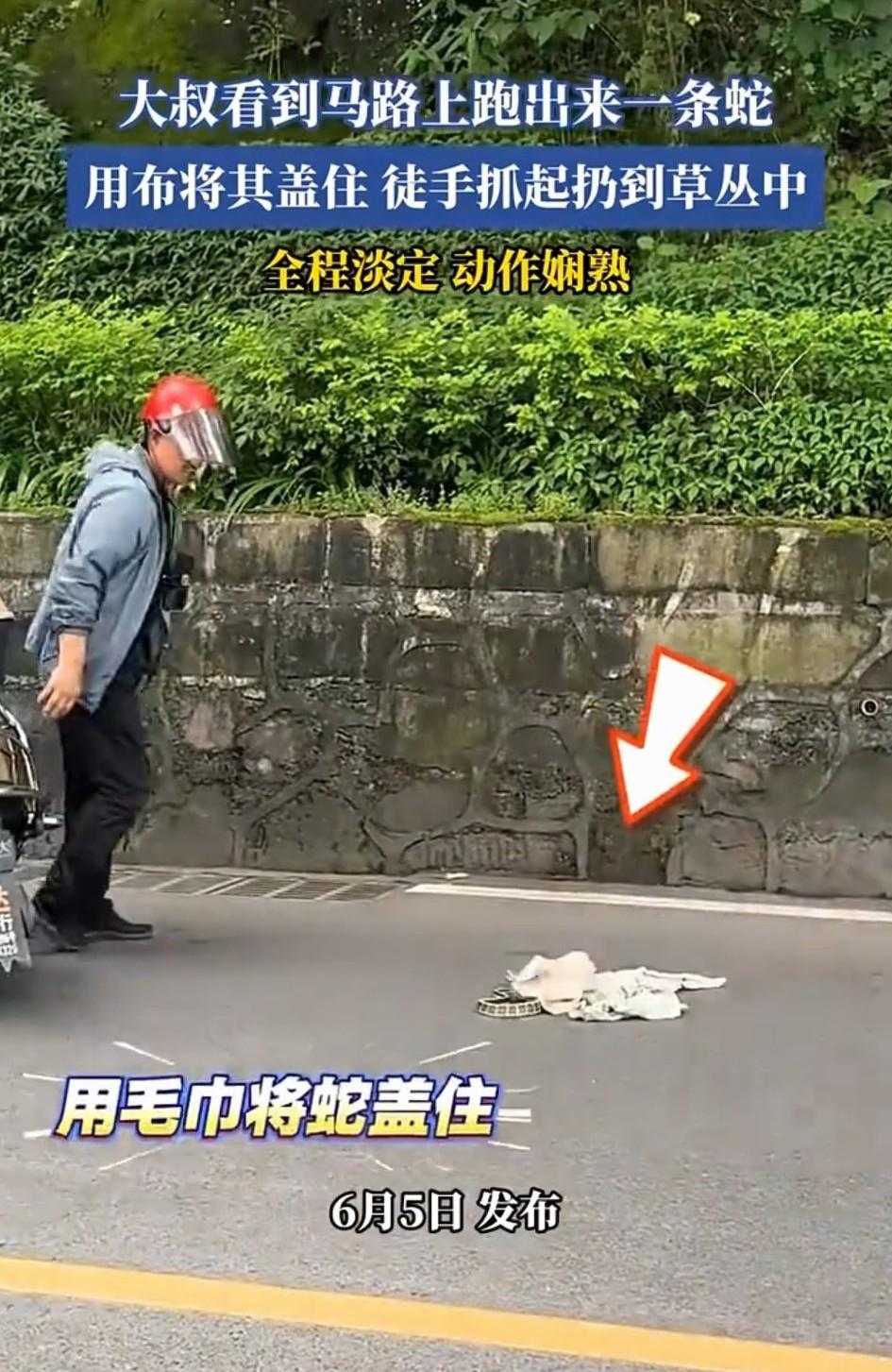 “好生淡定”。重庆一马路边上出现了一条蛇，这旁人都被吓得不敢靠近。正当大伙都不知