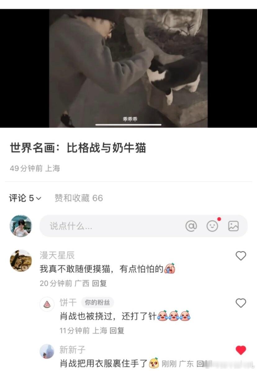 笑死了，事教人一教就会，以前招猫逗狗的被猫挠了，打了狂犬疫苗导致水肿，商务活动现