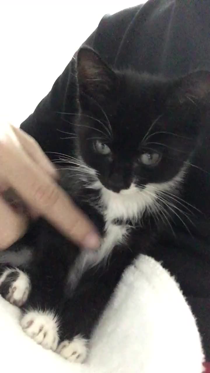 8975415895089661689.jpg?id=0