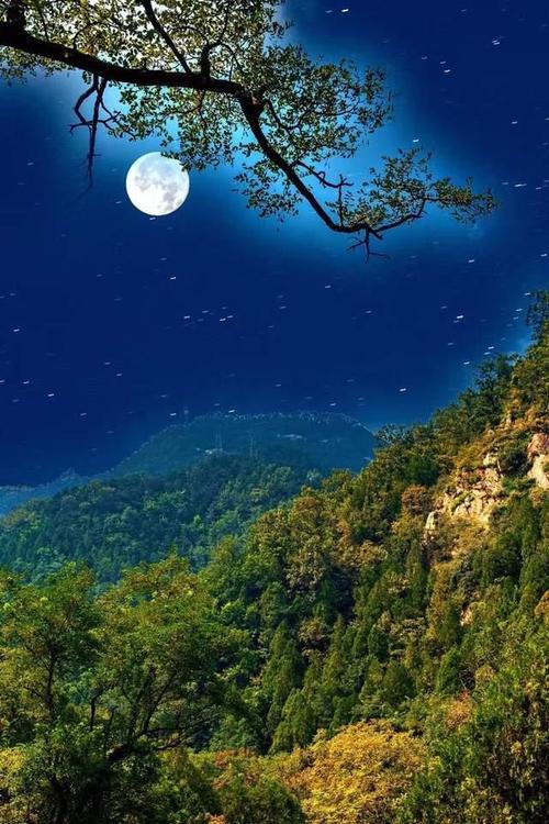 上联：明知夕阳留不住；下联：早邀明月来相照。