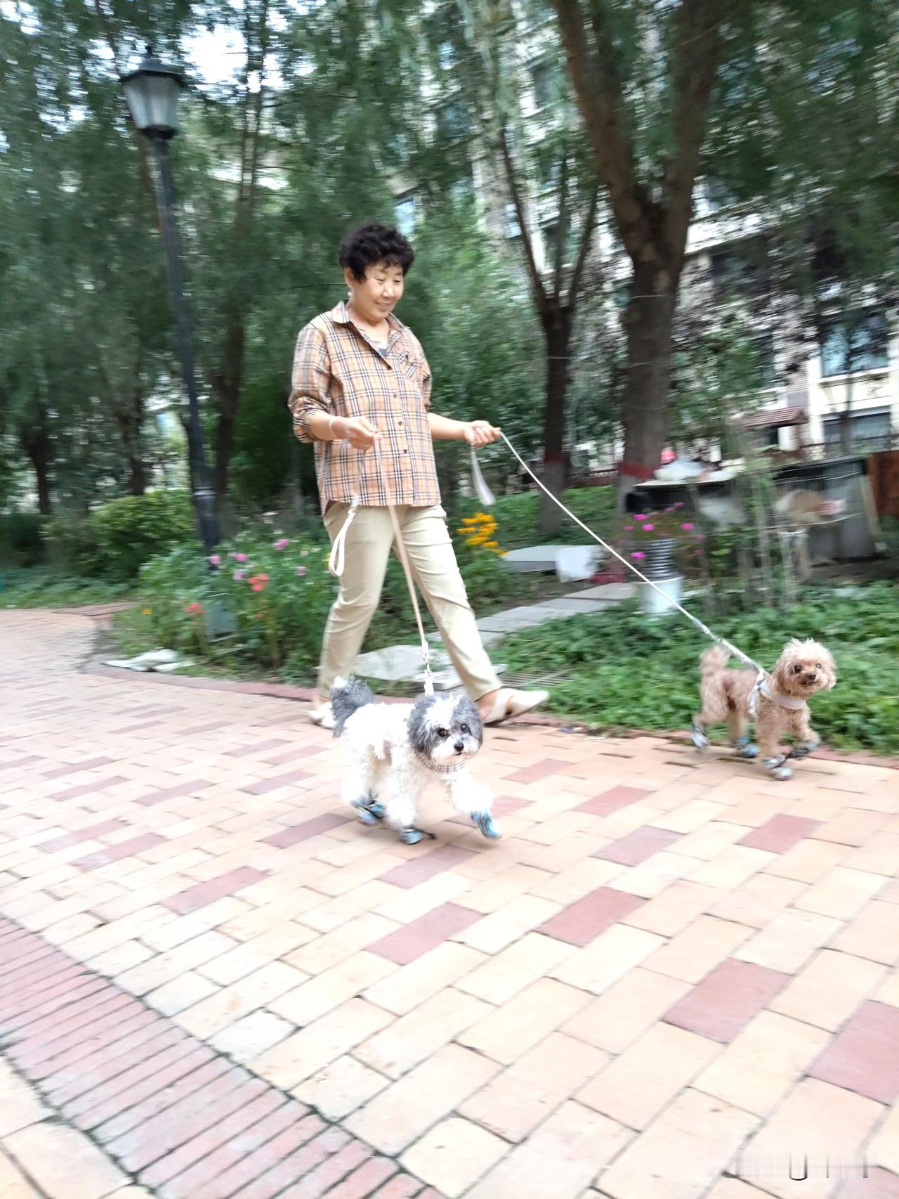 造成我国人口出生率锐减的原因，是现在的年轻人根本不愿意生孩子。那么，年轻人不愿意