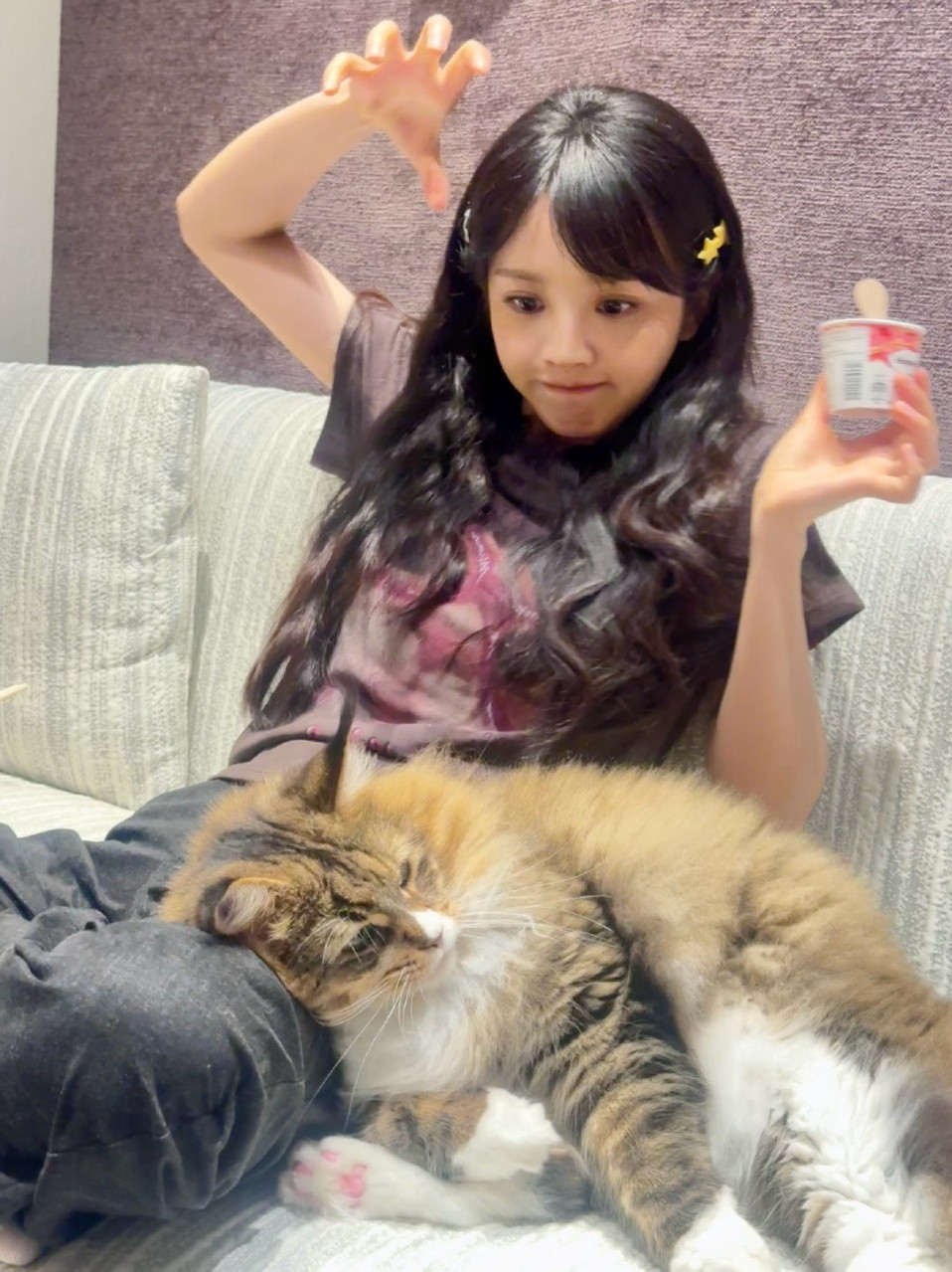 娱乐田曦薇和猫猫合照​​​田曦薇日常四宫格plog田曦薇晒和猫猫合照！