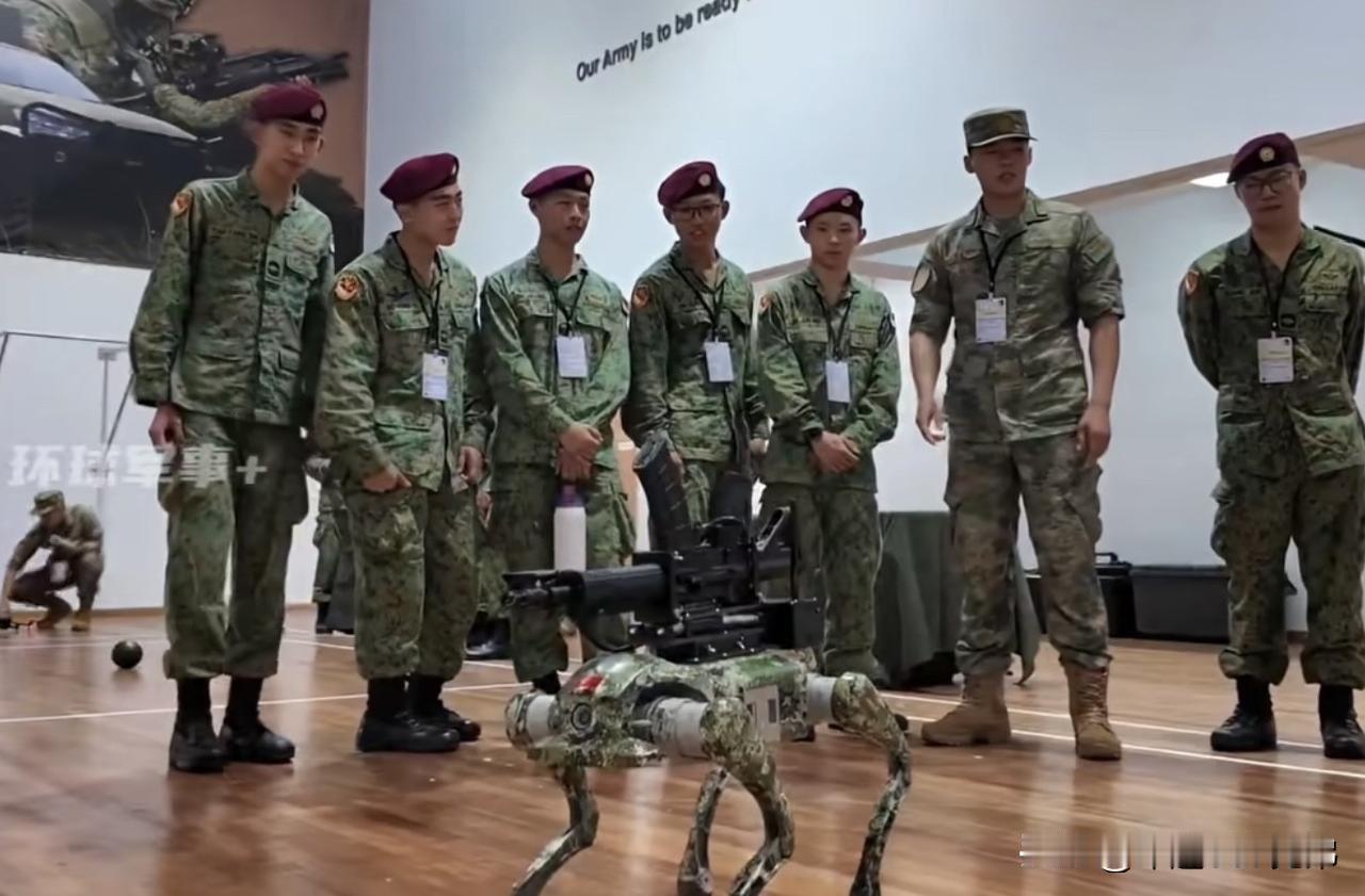 我军又带着背枪的机器狗，去新加坡“德瑟”给“坡县”的特种部队看，我们反恐都用上它