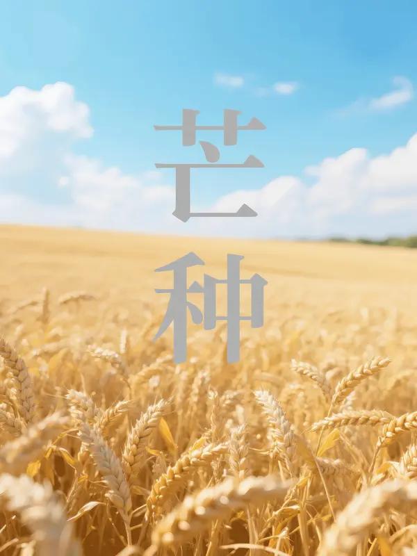 “种与获之间，只隔着一场弯腰的距离”，这话太妙了。就像芒种时节，农人们弯腰插秧，