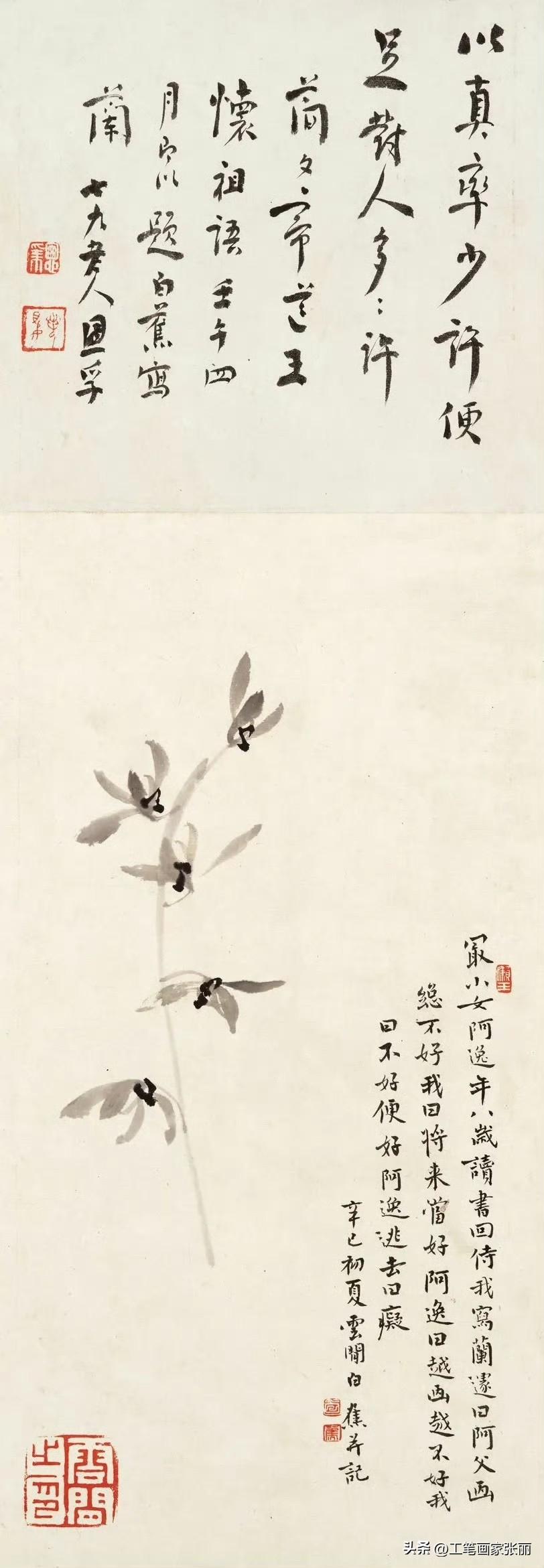 白蕉画兰：墨痕里的清贵气白蕉的兰，是从骨子里透出来的雅。他不堆砌花叶，寥