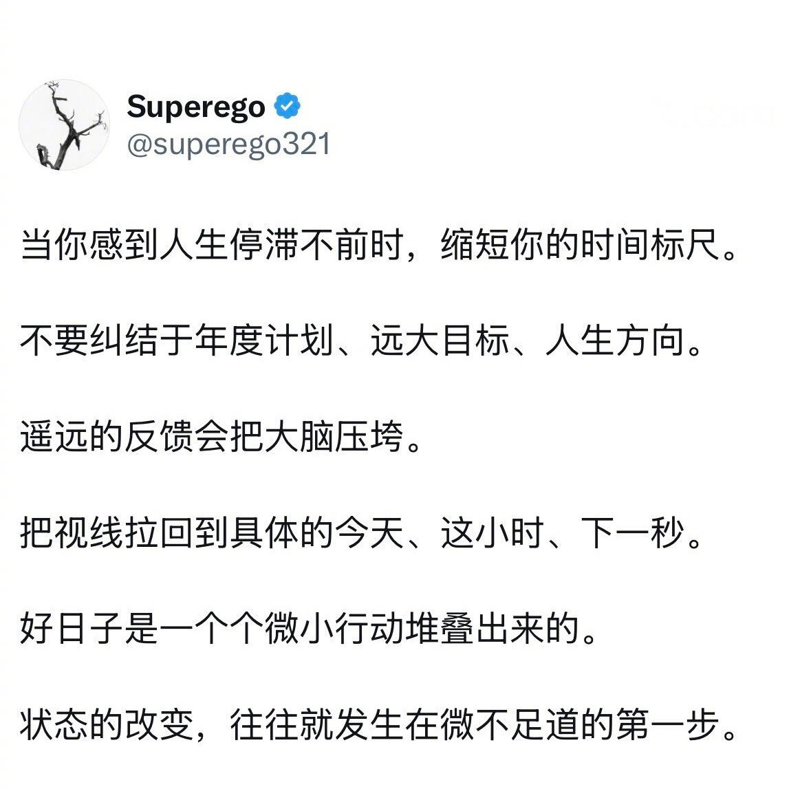 好日子是一个个微小行动堆叠出来的