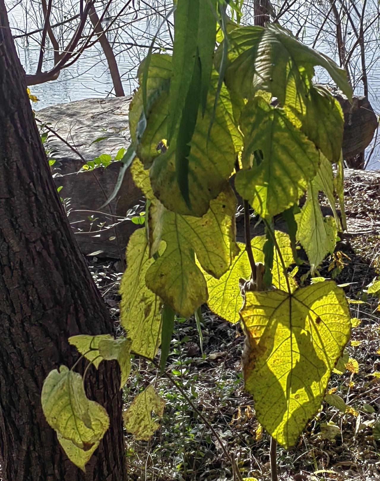 在单位“跟”错人，是一件很背的事情。某者，有能力、有热情、有干劲，一进单位就深