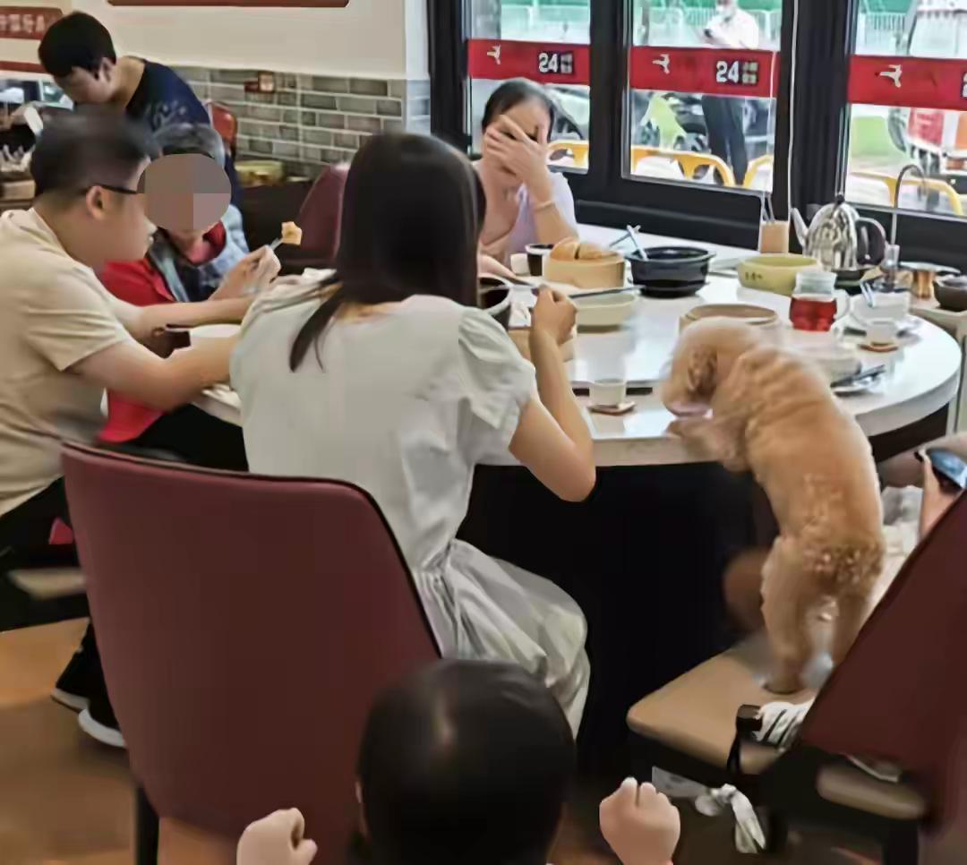 像这样的家庭见面打招呼的时候，是应该问家里几口人，还是问几条狗呢？