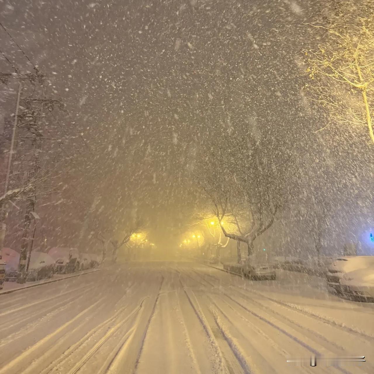 威海暴雪杀疯了！原来全靠“冷流雪”buff加持。威海这暴雪比东北还猛，根本