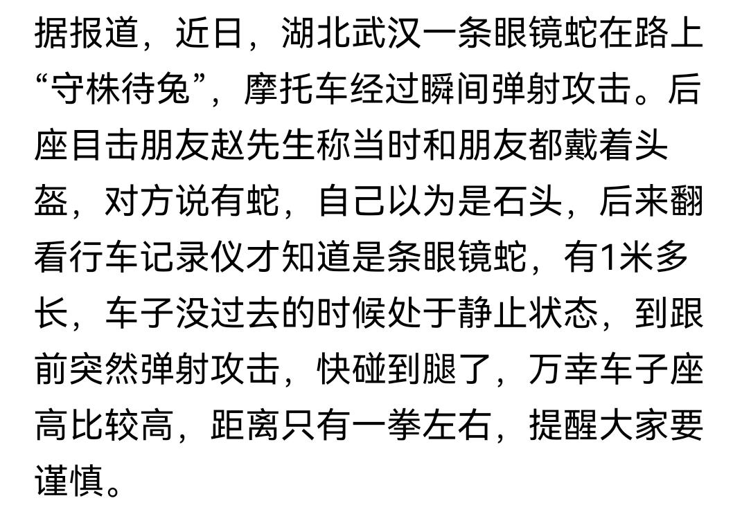 真不敢相信这样的事情会在武汉发生，虽然武汉夏天温度比较高，但也不至于能为眼镜蛇提