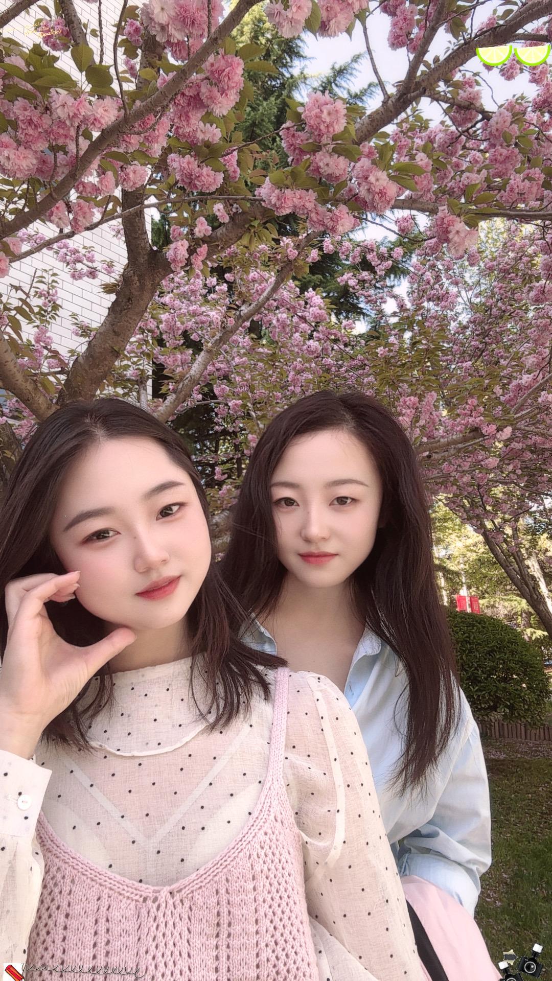 和闺蜜拍樱花啦🌸心情超级好，美好的一天是粉色的