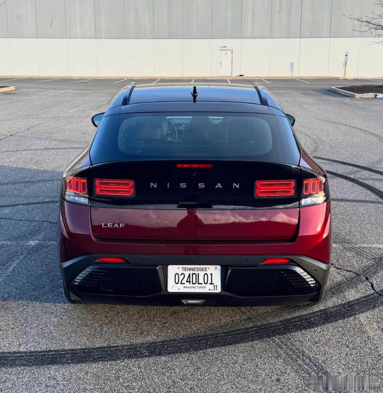 日产LEAF，真心建议国产一下我感觉挺好看的，一看就是日产设计的车国内逍客出个运