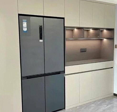 我家6年换了3台冰箱，第一台图便宜，第二台跟风买对开门，第三台终于买对了！今天掏