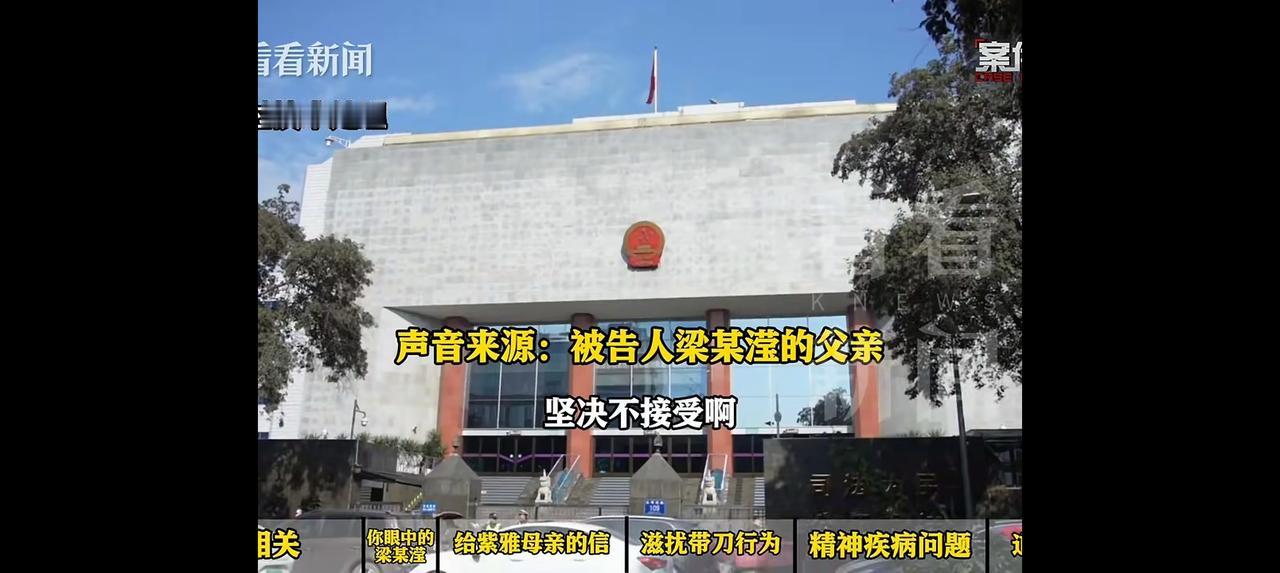 “成都紫雅案”被告人梁某滢父亲的发言内容，真是气死人！对他的狡辩原话逐句反驳