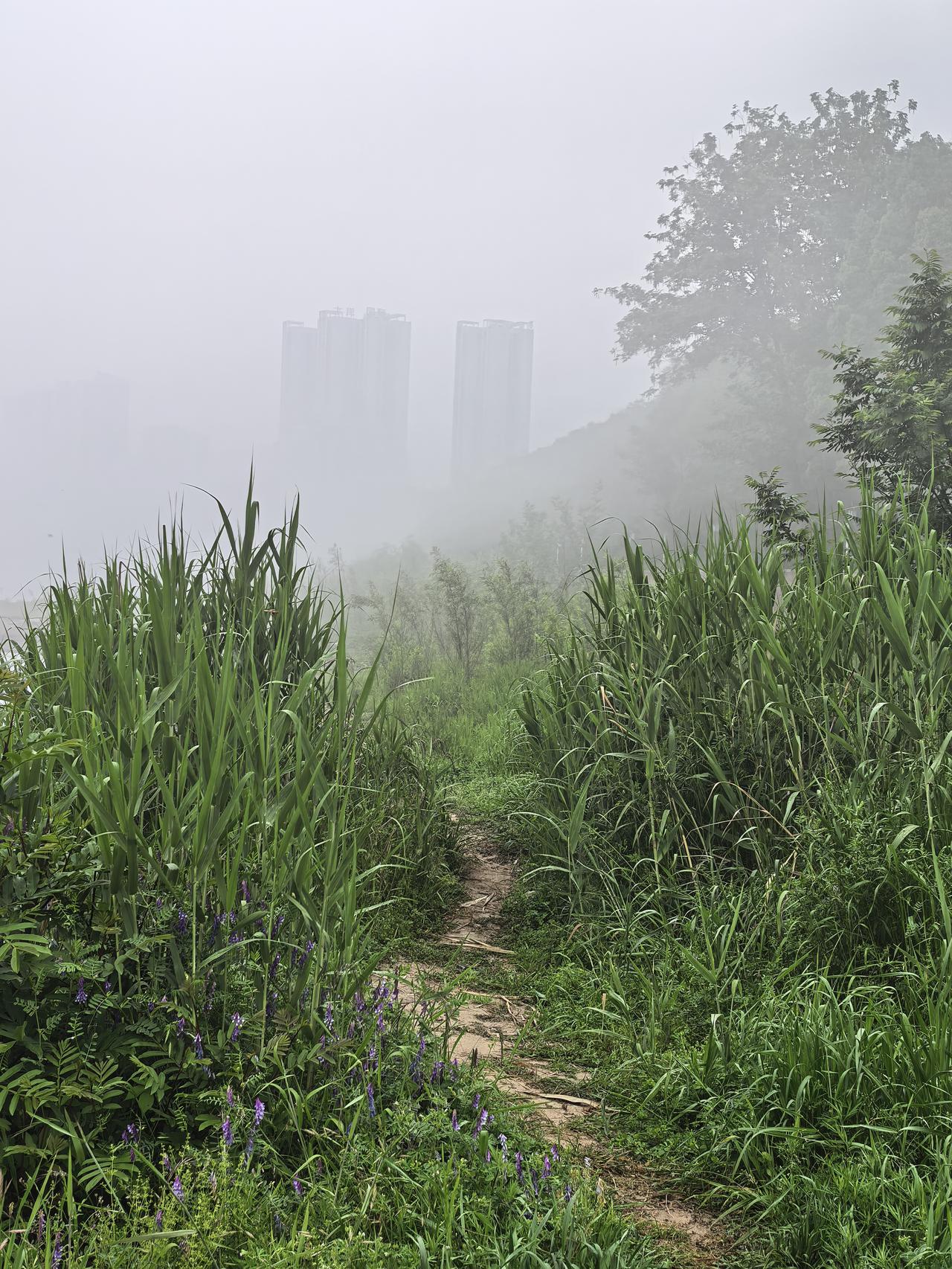 圣人成仙以后，身心通达天地万物。圣人感觉自己仿佛化成了虚空，将天地万物都包裹了进