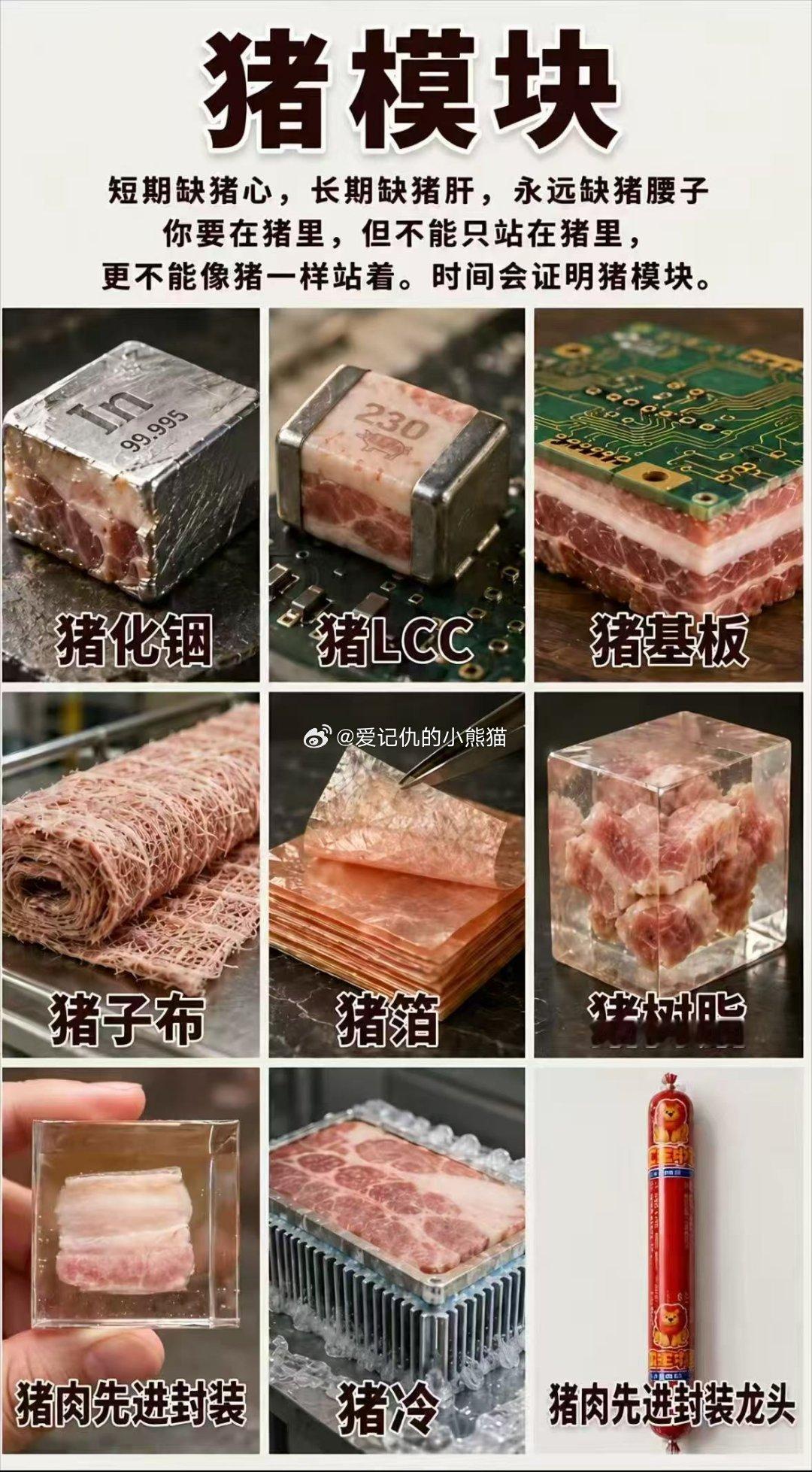 猪猪也被玩坏了