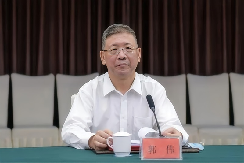 涉嫌严重违纪违法, 郭伟被查