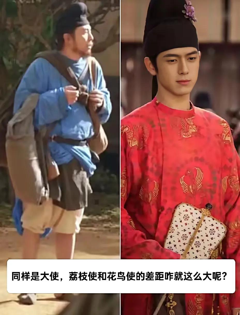 同样是大使，荔枝使和花鸟使的差距咋就这么大呢？《长安的荔枝》和《国色芳华》