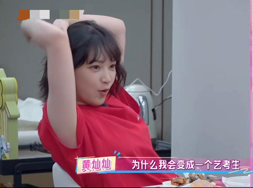 黄灿灿原本成绩不错，最后却去做了艺考生竟然是因为坠入爱河。有一次放学对一个路过的