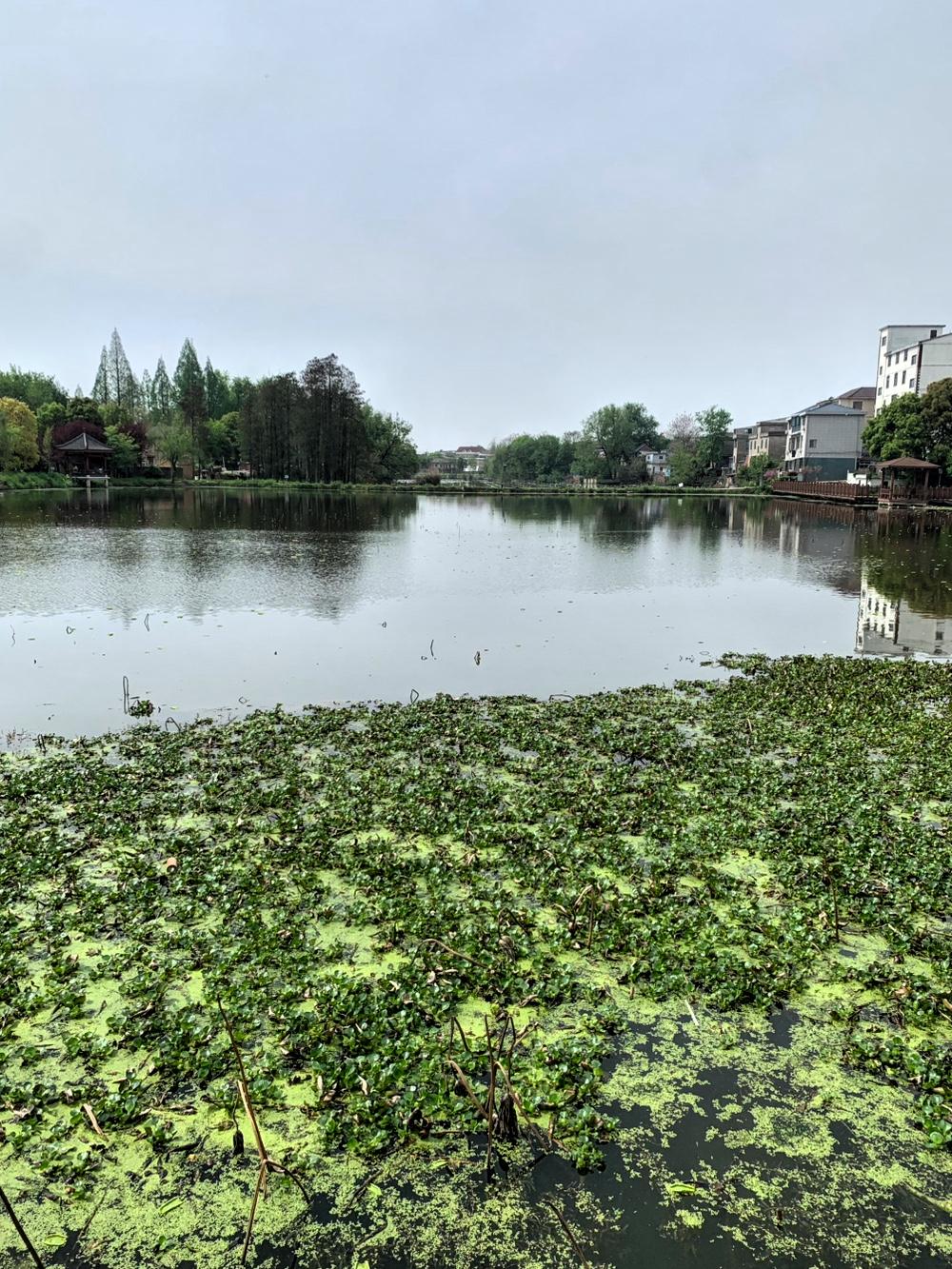 农村发展最匮乏的，便是人才资源与政策扶持力度。农村荒山荒地众多，水塘星罗棋
