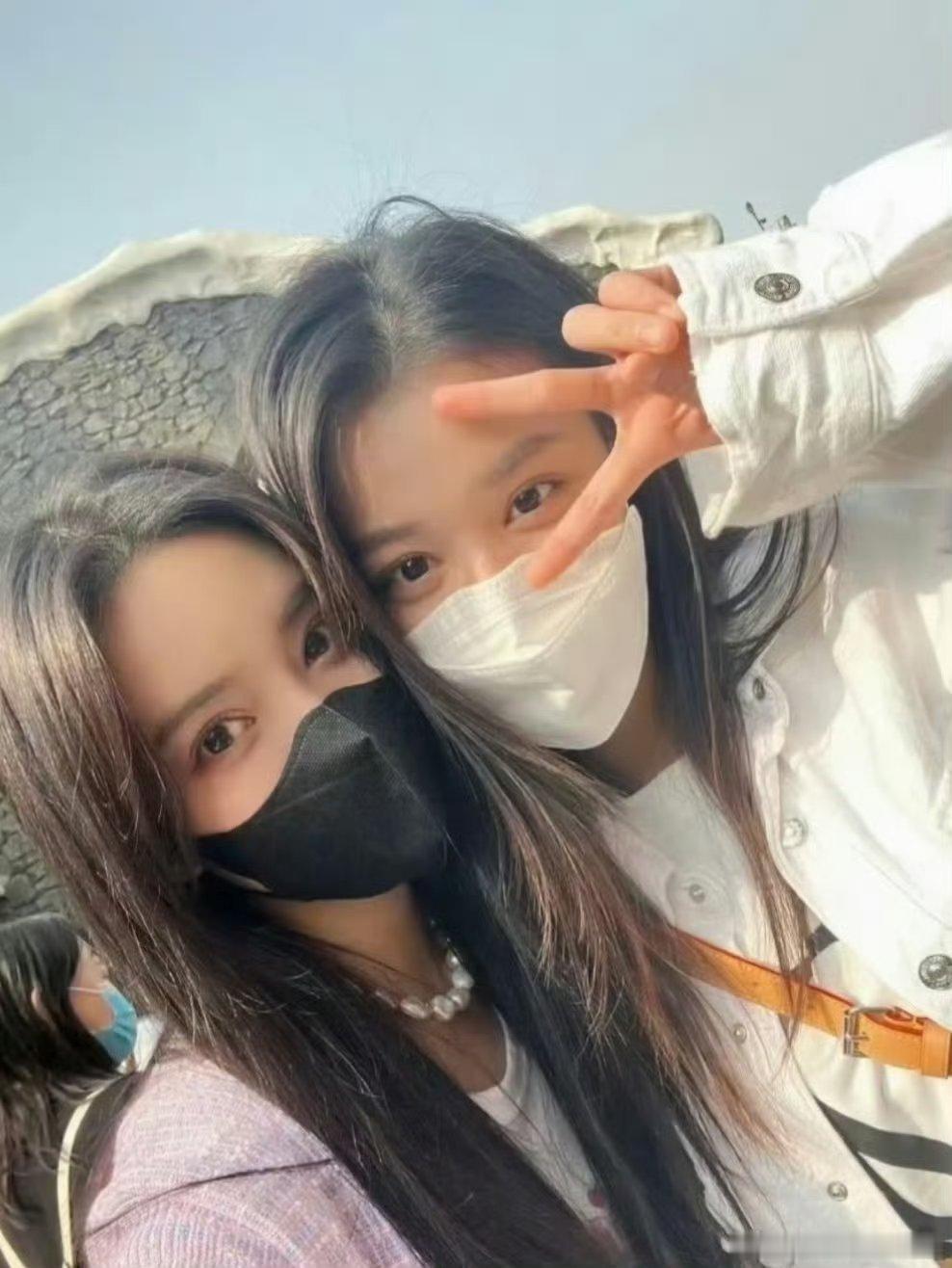王楚然孟子义浓颜双子星一个是热烈张扬的明艳大美女，一个是疏离贵气的清冷大小姐