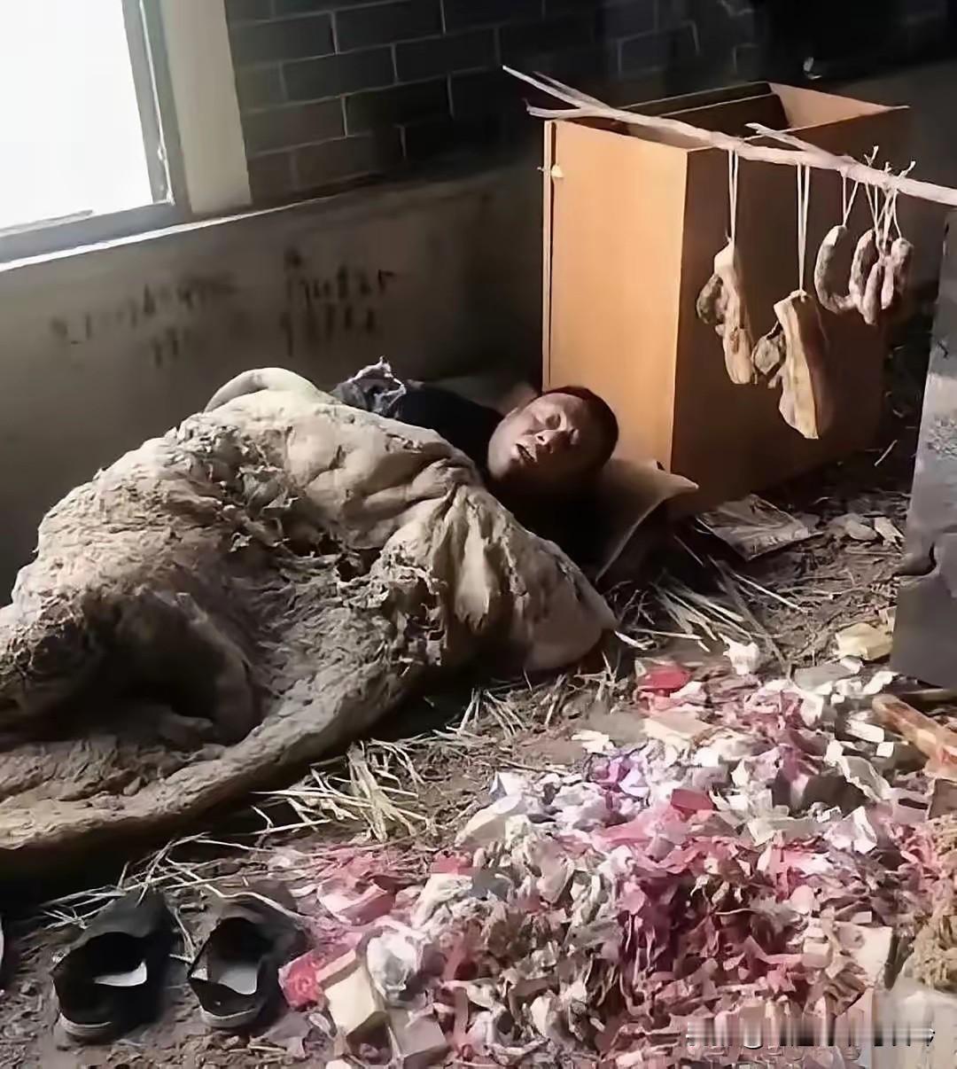 瞧瞧这个懒汉，宛如修真界的隐士般隐匿在此处。他身下铺着稻草，身上盖着破旧棉被，生