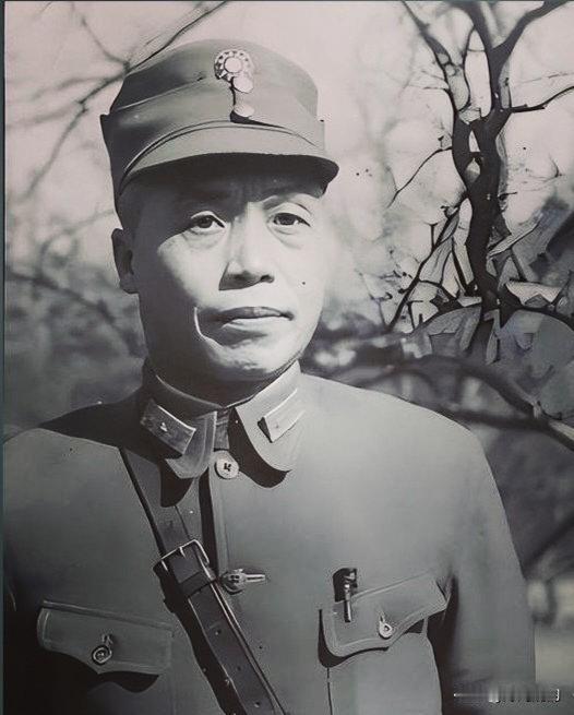 1937年8月，广西。李宗仁即将北上就任第五战区司令长官，全国的目光都盯着即将爆