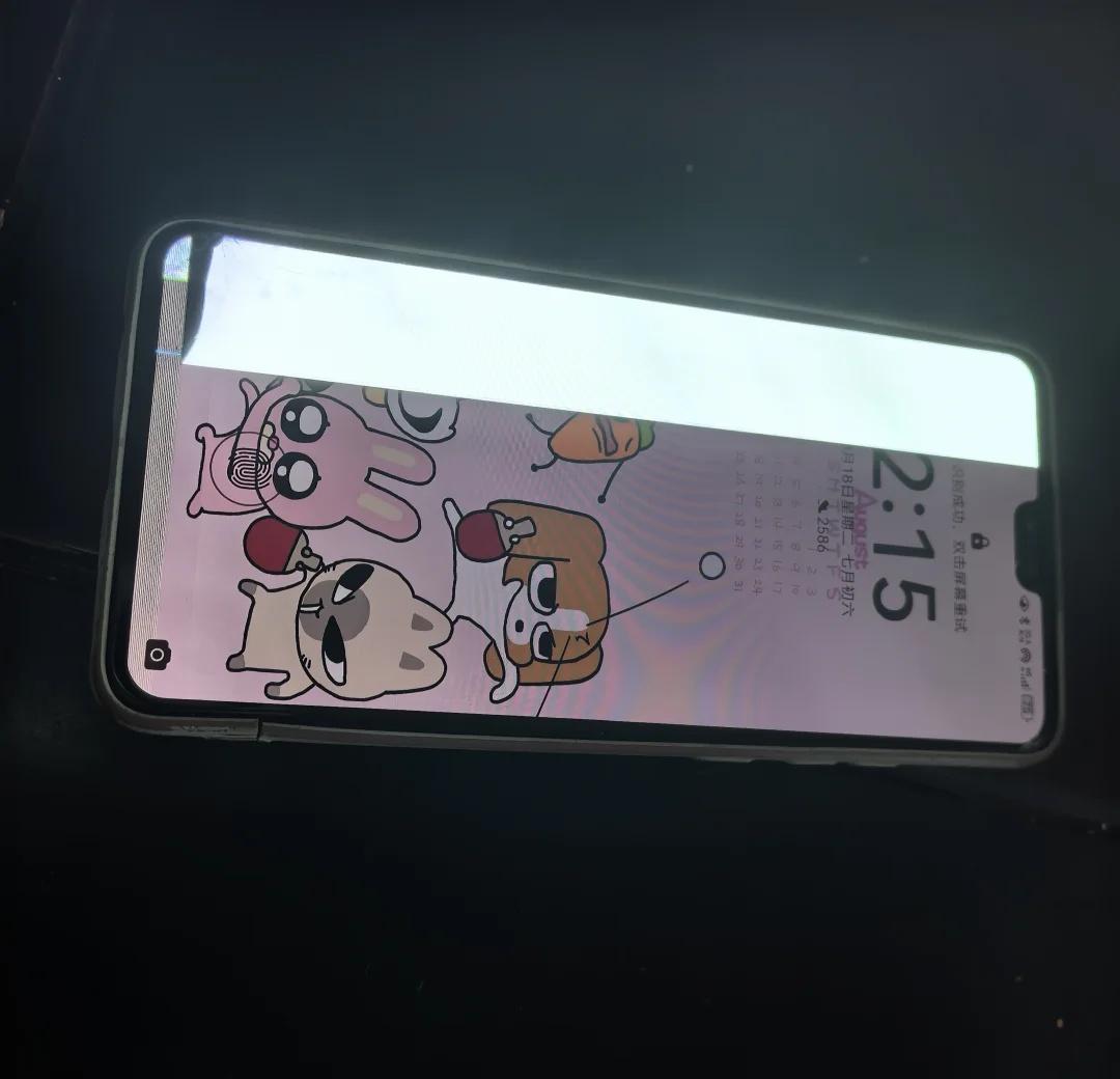 华为mate30摔成这样维修要多少钱呀😭心痛痛的，运动完太困了没拿稳飞出去了