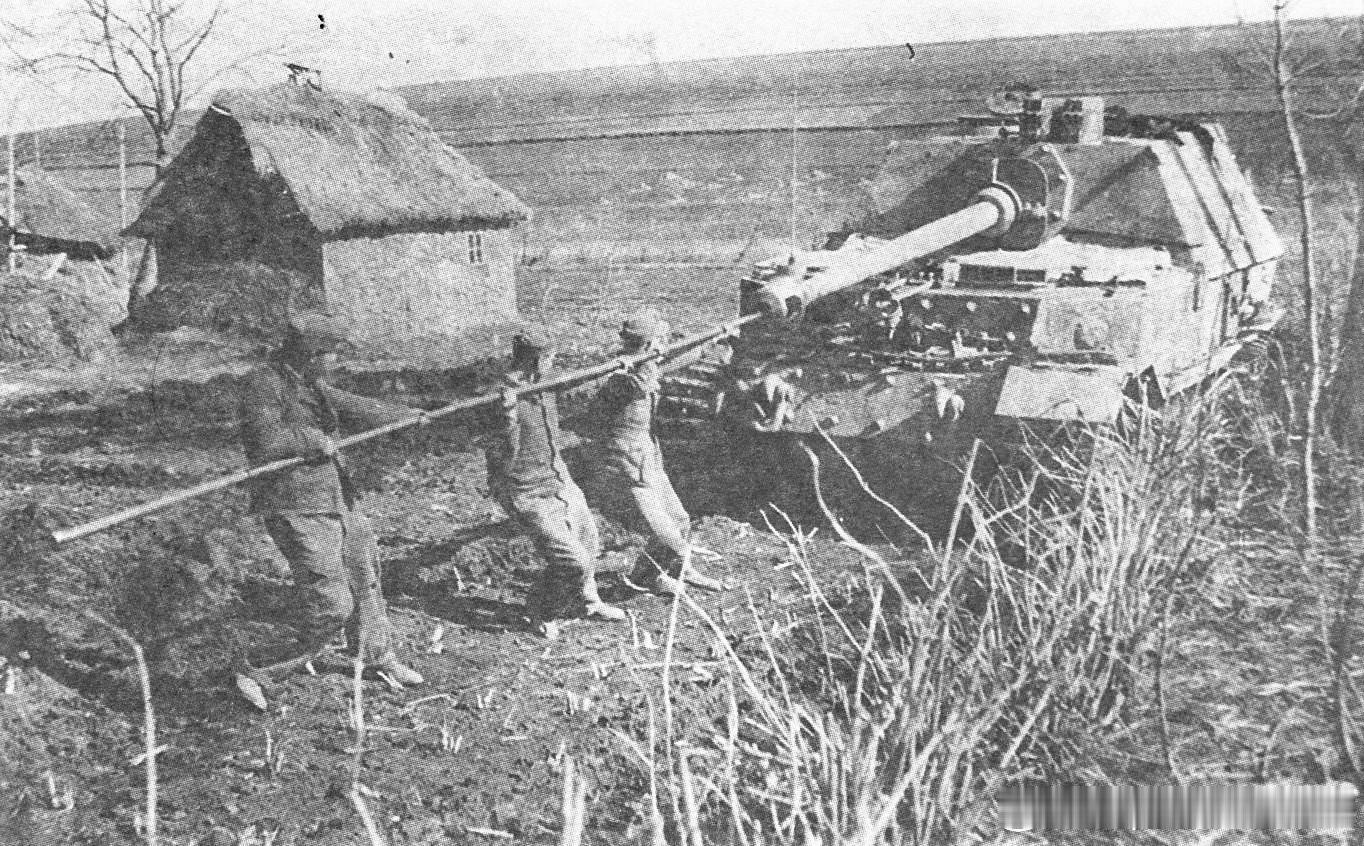 1944年在乌克兰西部德军第653重型坦克歼击营士兵正在清理Sd.Kfz.184