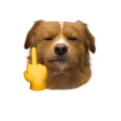 好无语