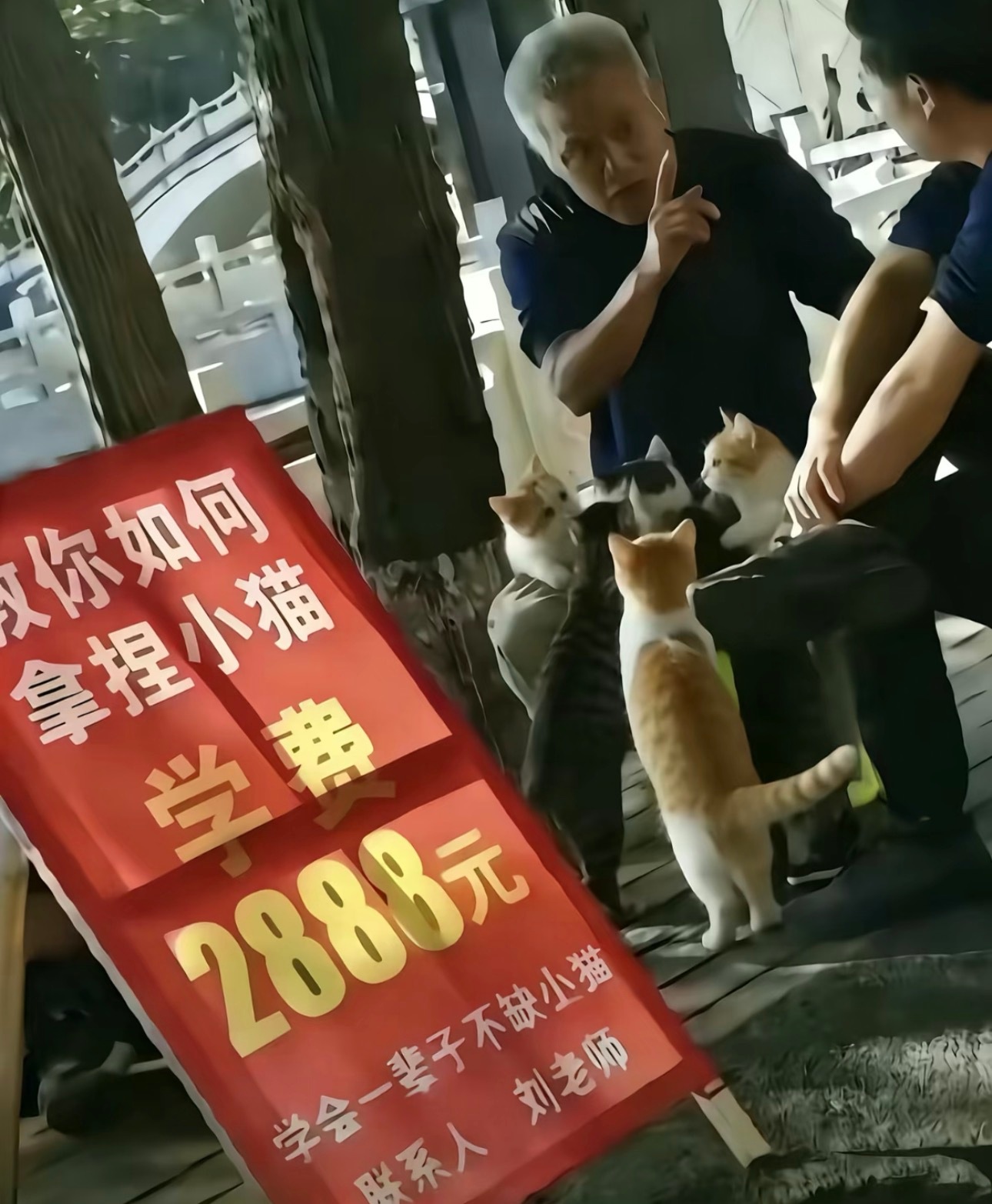 大家三月有遇到什么小可爱吗？