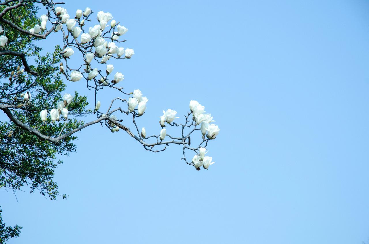 爱是下倾的，什么意思呢？就是你对你家的孩子好，那是一种天性，并不代表那是你的善良