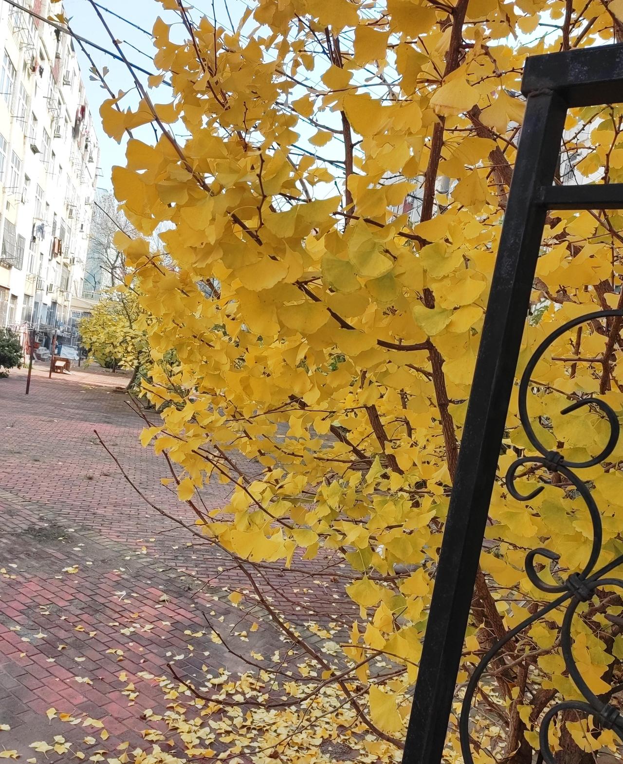 女子连线主播，提出心中疑问：自己结婚十年了，为什么自己的家庭，和朋友们相比，没有