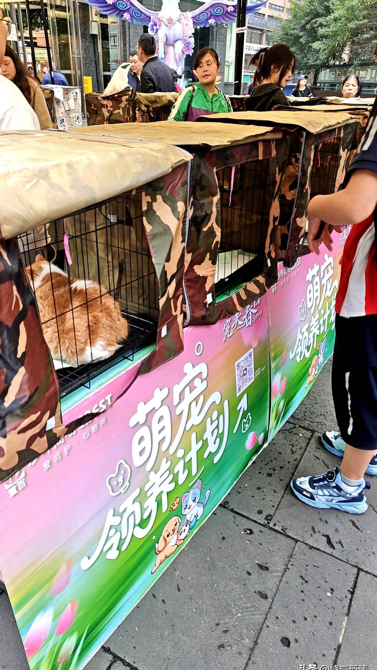 今天这日子，过得也太值了！去看了猫眼9.4分的《挽救计划》，瑞恩·高斯林演的