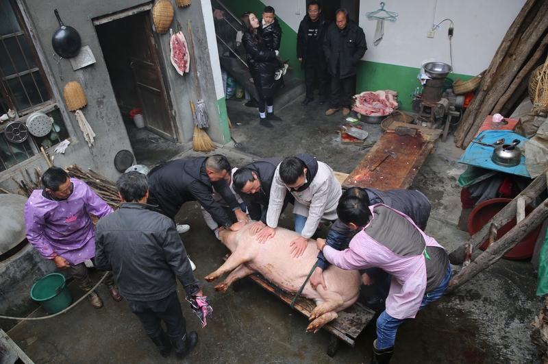 杀年猪吃杀猪饭绝对是我的童年回忆。以前农村每户基本每年养一头猪，我家也一样。小时