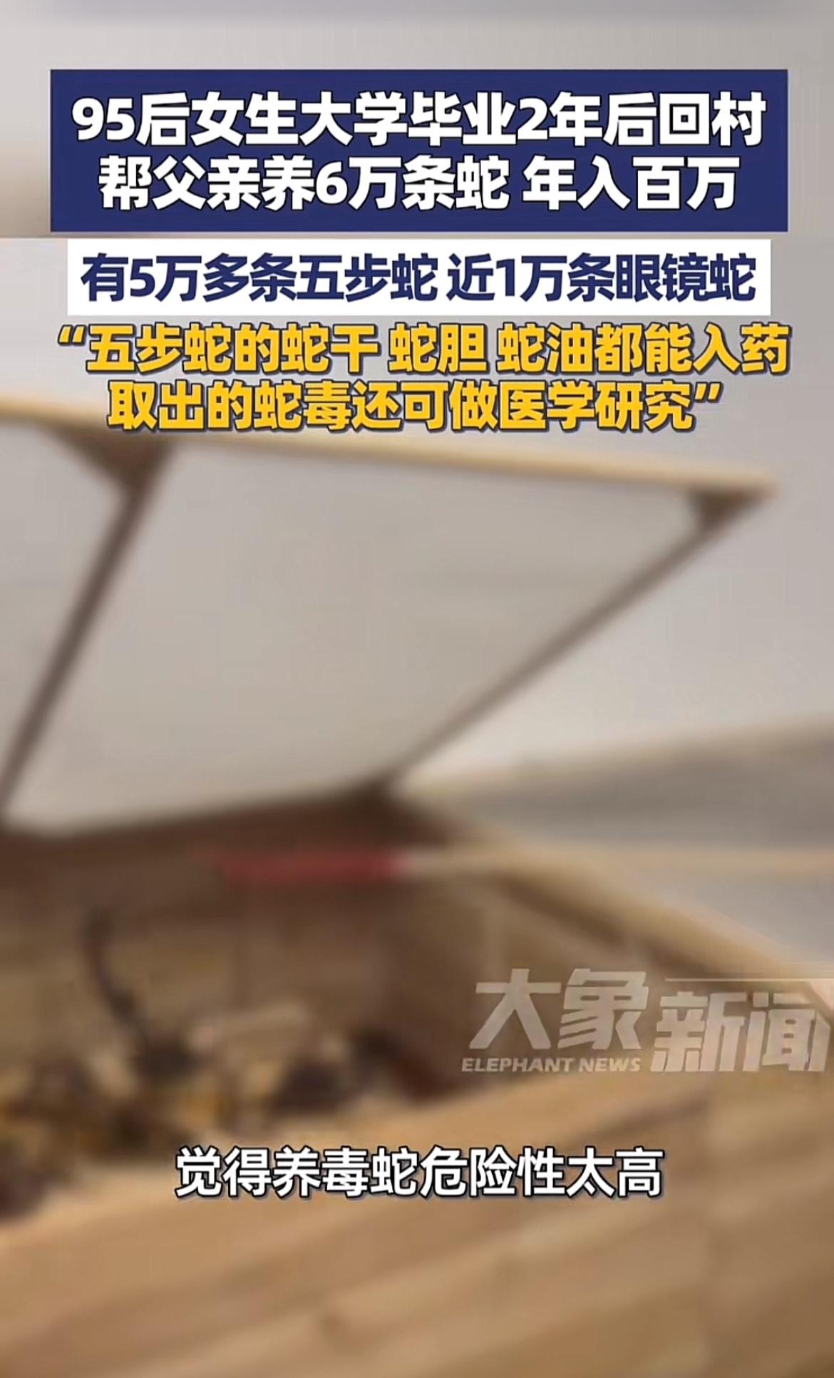 95后女生返乡养毒蛇年入百万，这事儿听起来就刺激！广西这位女生林悦，原本是都市白