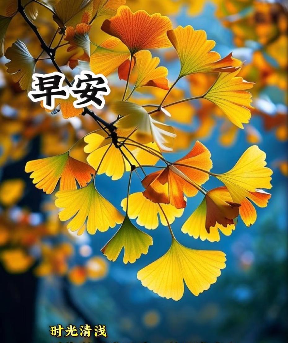 [玫瑰]早上好[玫瑰]时光清浅愿你所遇皆温柔，所见皆璀璨愿生活如诗如画，