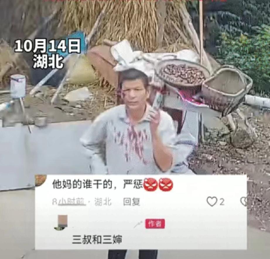 天呐，这亲兄弟咋能下如此狠手！湖北有位老人，三十多岁收养了个女儿，一直把她当