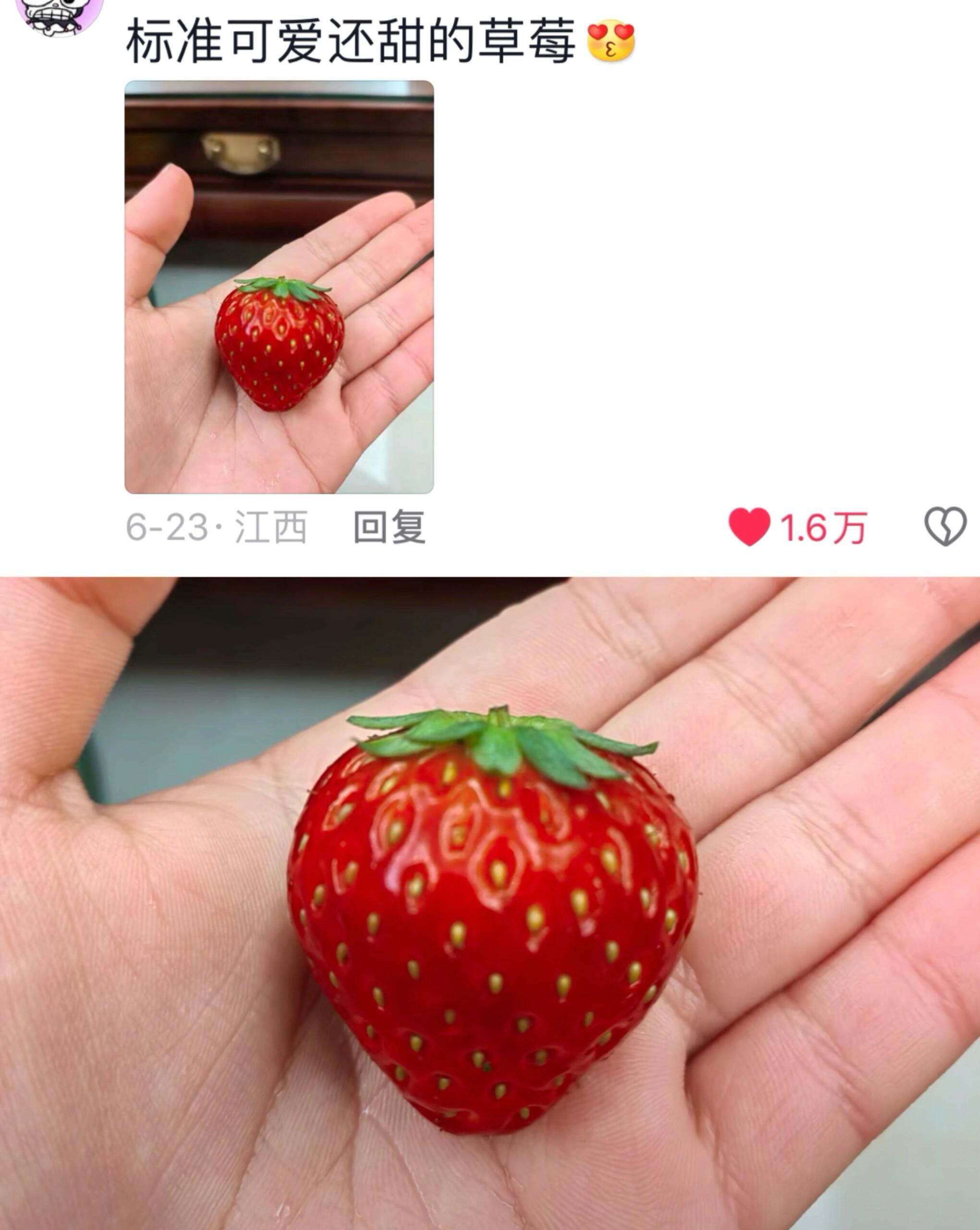 对长得标准的东西没抵抗力，完全符合我的刻板印象