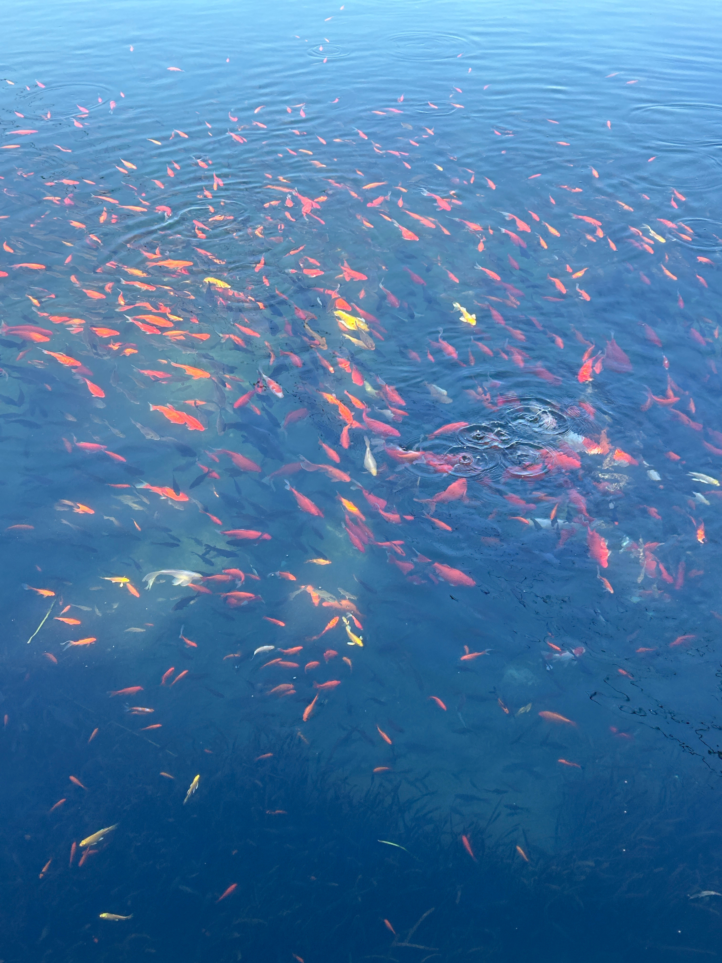 济南你美我错怪你了