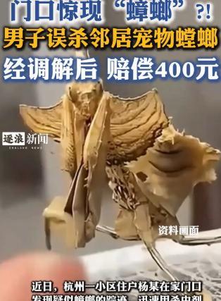 “真是冤枉！”浙江一位男子发现家门前有虫子，顺手喷了点杀虫剂，没想到，邻居却上门