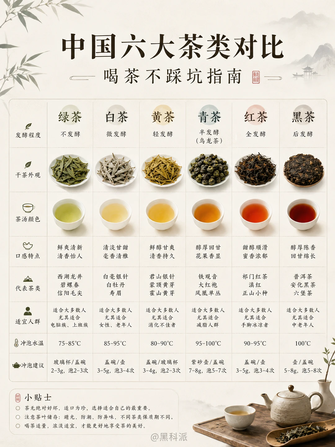中国六大茶类对比，新手喝茶入门指南