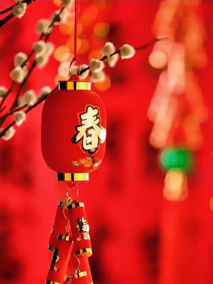 这个建议挺好！有人说，既然是中国的节日，在外宣时就应该用中文拼音，而不应该用英文